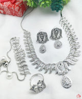 Silver stainless steel combo set